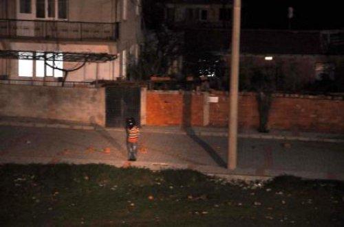 PKK yandaşları Aydın'ı birbirine kattı - Resim 2