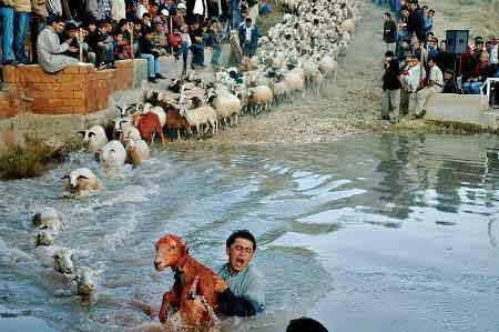 Türkiye' nin en güzel fotoğrafları