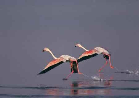 Türkiye' nin en güzel fotoğrafları