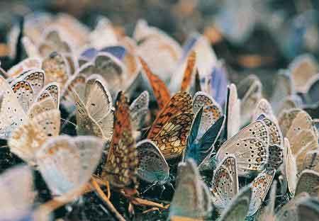 Türkiye' nin en güzel fotoğrafları