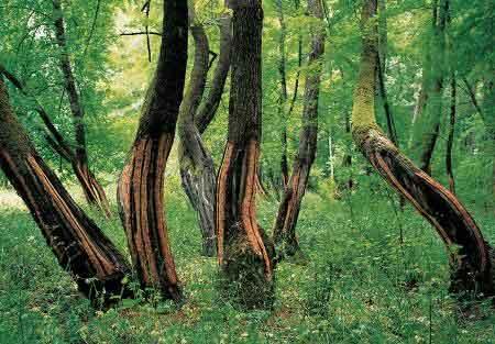 Türkiye' nin en güzel fotoğrafları