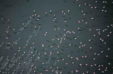 Türkiye' nin en güzel fotoğrafları