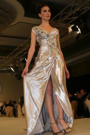Devlet adamlarına özel defile - Resim 5