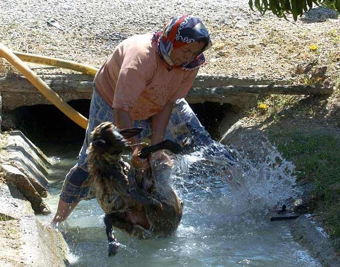 Türkiye ve Avrupa'dan sıcak manzaraları - Resim 25