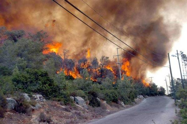 Muğla alev alev - Resim 4