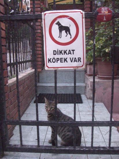 Komik fotoğraflar.. - Resim 23