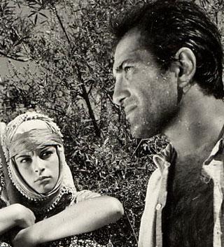 Susuz Yaz yeniden parlıyor - Resim 2