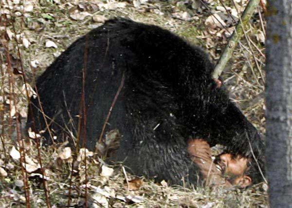 2007 yılının en çarpıcı kareleri - Resim 1
