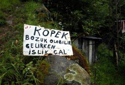 2007'ye damgasını vuran fotoğraflar - Resim 22
