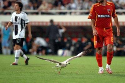2007'ye damgasını vuran fotoğraflar - Resim 17