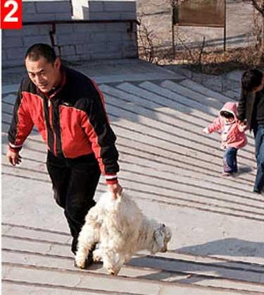 Hayvanat bahçesinde vahşet - Resim 1