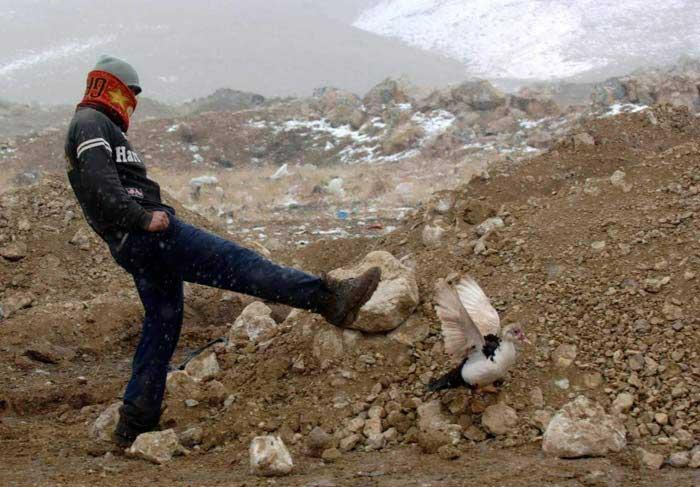 2007'nin ödüllü fotoğrafları - Resim 15