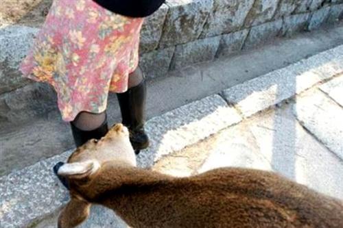Bu fotoğraflar güldürüyor - Resim 12