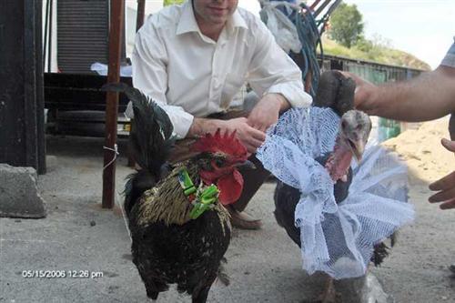 Bu fotoğraflar güldürüyor - Resim 2