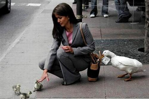 Bu fotoğraflar güldürüyor - Resim 19