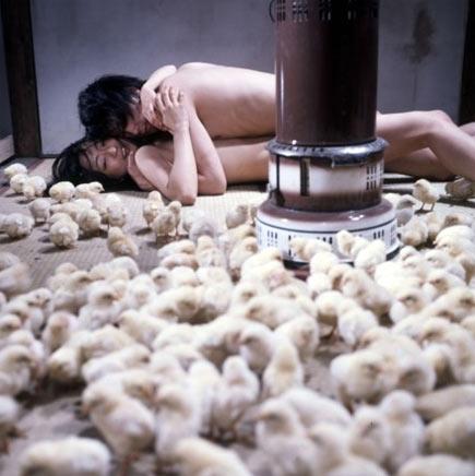 Erotik Japon sineması