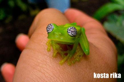 Gelecekte yaşanabilecek 4 ülke 