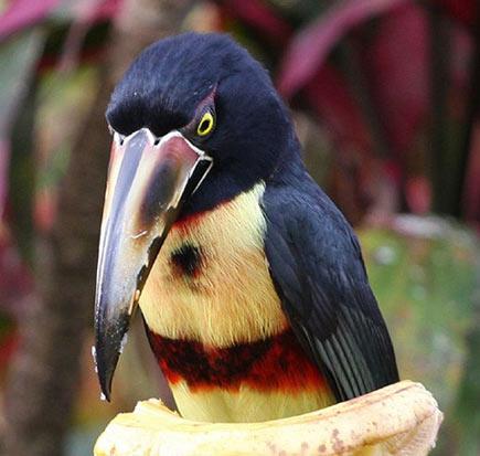 Gelecekte yaşanabilecek 4 ülke 