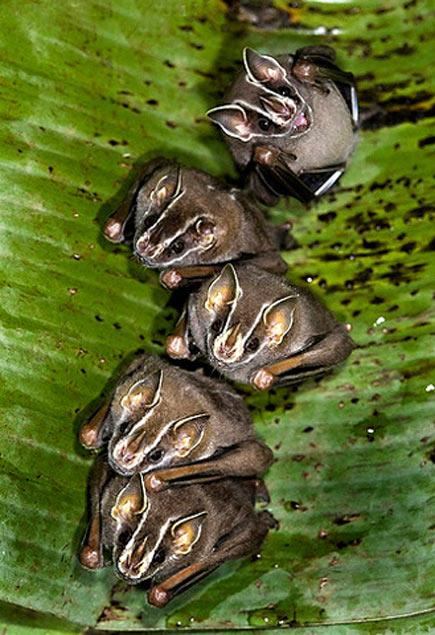 Gelecekte yaşanabilecek 4 ülke 
