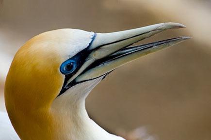 Gelecekte yaşanabilecek 4 ülke 