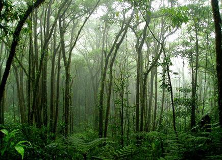 Gelecekte yaşanabilecek 4 ülke 
