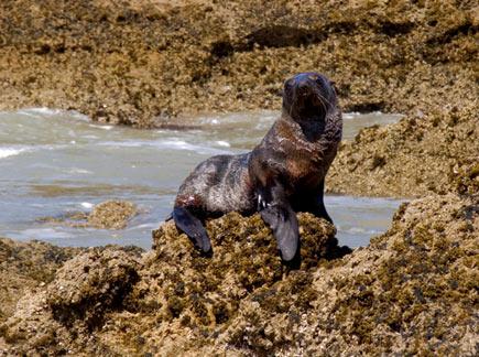 Gelecekte yaşanabilecek 4 ülke 