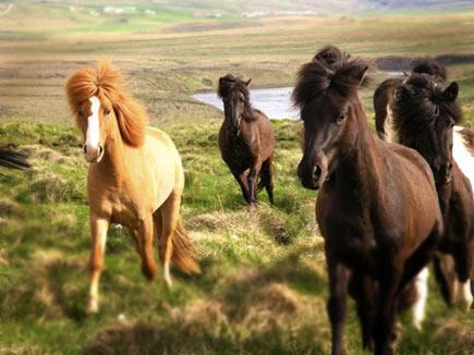 Gelecekte yaşanabilecek 4 ülke 