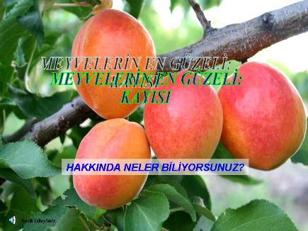 Meyvelerin En Güzeli - Resim 12