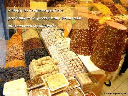 Meyvelerin En Güzeli - Resim 13