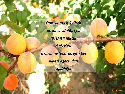 Meyvelerin En Güzeli - Resim 8