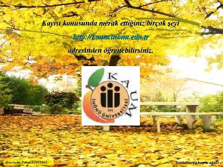 Meyvelerin En Güzeli - Resim 20