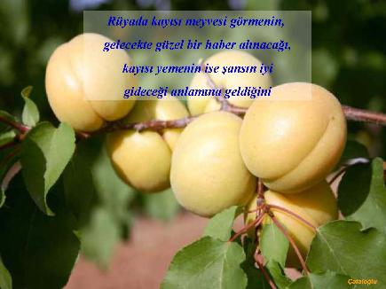 Meyvelerin En Güzeli - Resim 1