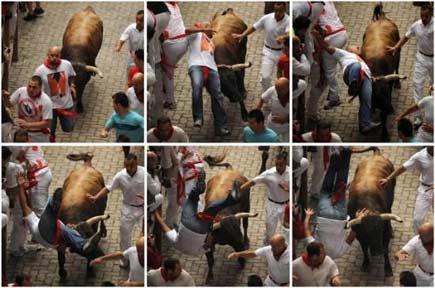 Boğa festivali ÇILGINLIĞI - Resim 13