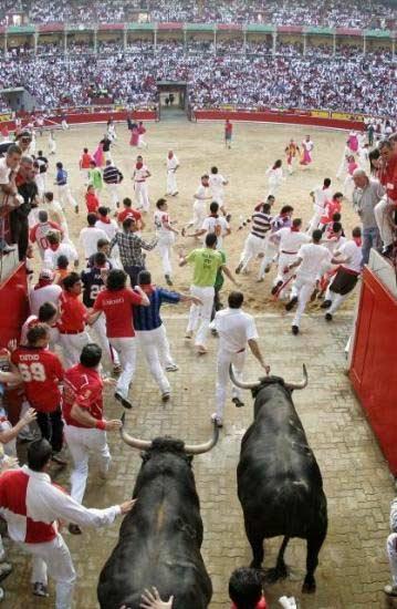 Boğa festivali ÇILGINLIĞI - Resim 7