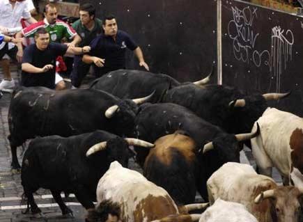 Boğa festivali ÇILGINLIĞI - Resim 19