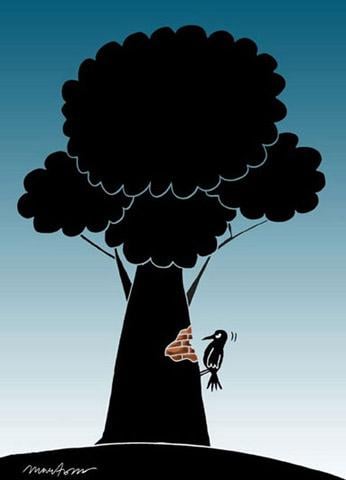 Ödüllü çevre karikatürleri - Resim 1