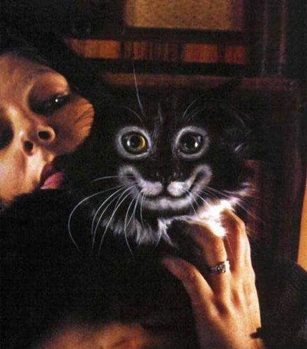 Sabah'tan BOYALI KEDİ gafı