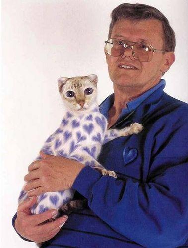 Sabah'tan BOYALI KEDİ gafı