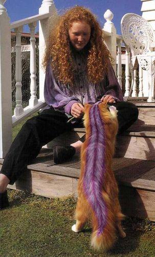 Sabah'tan BOYALI KEDİ gafı