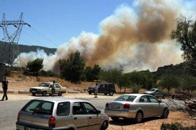 Bodrum'da orman yangını - Resim 8