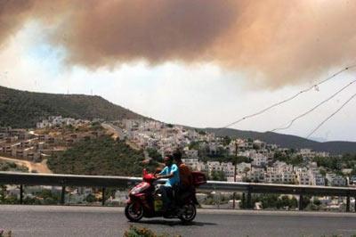Bodrum'da orman yangını - Resim 6