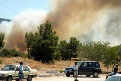 Bodrum'da orman yangını - Resim 3