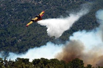 Bodrum'da orman yangını - Resim 11
