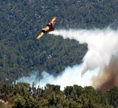 Bodrum'da orman yangını - Resim 5