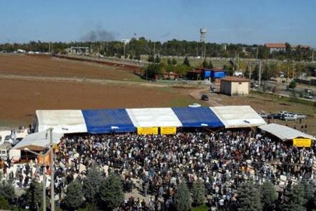 DTP kampından kareler - Resim 12