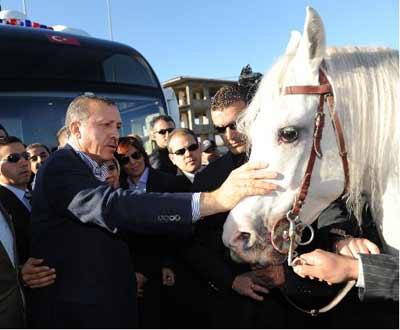 Erdoğan neden ata binmedi - Resim 10