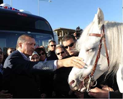Erdoğan neden ata binmedi - Resim 19