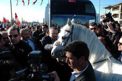 Erdoğan neden ata binmedi - Resim 16