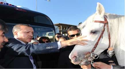 Erdoğan neden ata binmedi - Resim 28