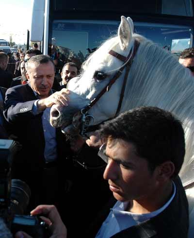 Erdoğan neden ata binmedi - Resim 13